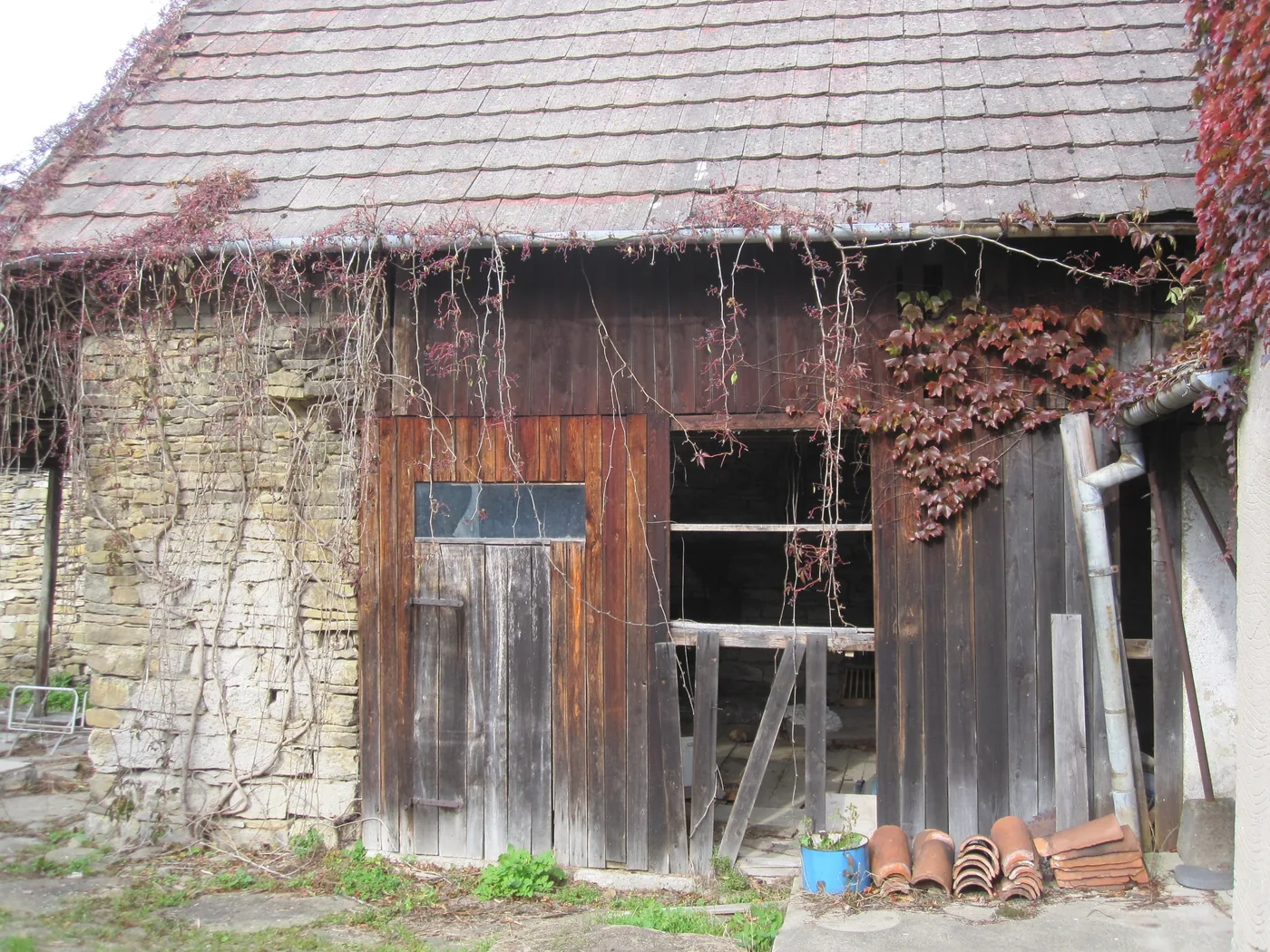 The derelict barn in 2013, with rotting timber doors and creeper growing over the roof