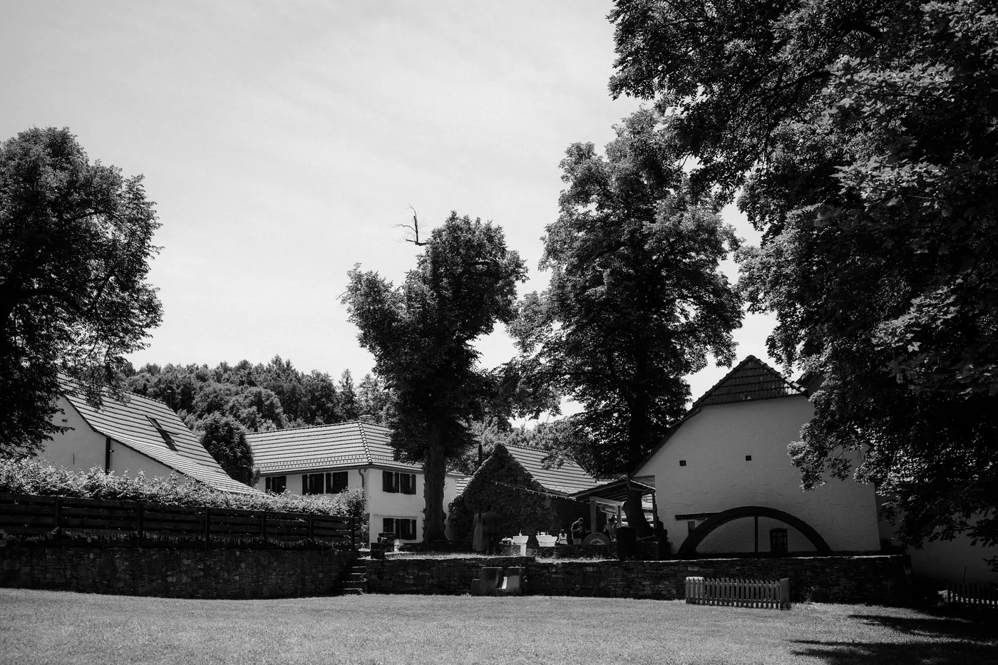 The mill estate seen from the road, roofs and trees, in black and white