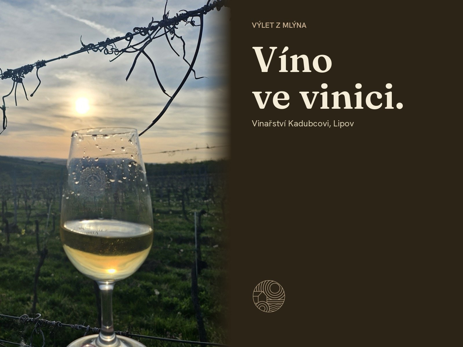 Sklenice bílého vína ve vinici při západu slunce. Vpravo text Víno ve vinici.